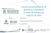 Hacia la sostenibilidad en la ganadería colombiana a ...