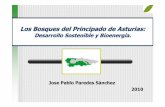 Los Bosques del Principado de Asturias