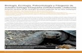 Biología, Ecología, Paleontología y Filogenia de nuestra ...
