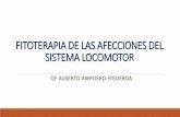 FITOTERAPIA DE LAS AFECCIONES DEL SISTEMA LOCOMOTOR