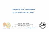 MECANISMOS DE ATEROGENESIS LIPOPROTEINAS MODIFICADAS