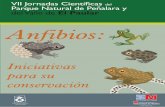 El Paular Anfibios - lifetritomontseny.eu
