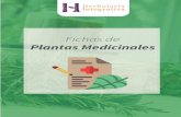 Fichas de plantas medicinales - Asami