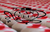 CanCels catalogo navidad 2020