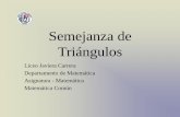 Semejanza de Triángulos - liceojavieracarrera.cl