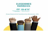 LINEAMIENTOS- ELECCIONES 2021
