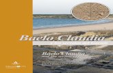 Baelo Claudia y los secretos del Garum • Baelo Claudia