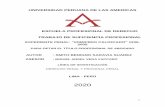 UNIVERSIDAD PERUANA DE LAS AMERICAS ESCUELA PROFESIONAL DE ...