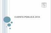 CUENTA PÚBLICA 2014 - Corporación de Educación y Salud ...