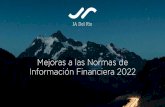 Mejoras a las Normas de Información Financiera 2022