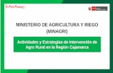 MINISTERIO DE AGRICULTURA Y RIEGO (MINAGRI)