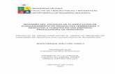 REDISEÑO DEL PROCESO DE PLANIFICACIÓN DE ALMACENAMIENTO DE ...