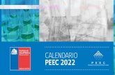 Ministerio de Salud PEEC 2022