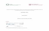 INFORME FINAL - Consorcio de Investigación Económica y ...