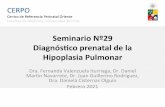 Seminario Nº29 Diagnós2co prenatal de la Hipoplasia Pulmonar