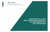 EXPERTO ICAV EN DELITOS SOCIO- ECONÓMICOS (3ª Edición)