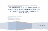 PROYECTO FINAL DE CARRERA ESTUDIO DE VIABILIDAD DE UNA ...