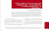 DISCRECIONALIDAD JUDICIAL. CAUSAS, NATURALEZA Y LÍMITES