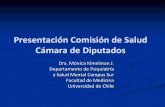 Presentación Comisión de Salud Cámara de Diputados
