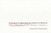 PLIEGO DE CONDICIONES - Zaragoza
