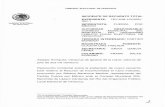 INCIDENTE DE RECUENTO TOTAL TEV-RIN-107/2021