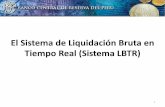 El Sistema de Liquidación Bruta en Tiempo Real (Sistema LBTR)
