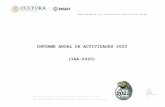INFORME ANUAL DE ACTIVIDADES 2020 (IAA-2020)