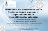 Protocolo de anestesia en la histerectomía vaginal y ...