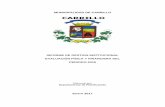 Informe Getion Institucional del Año 2016