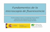 Fundamentos de la microscopía de fluorescencia