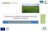 Claves para rebajar emisiones de N O y NH3 en cultivos