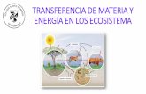 TRANSFERENCIA DE MATERIA Y ENERGÍA EN LOS ECOSISTEMA