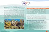 Modelo de Seguro Paramétrico para Arrecifes Modelo de ...