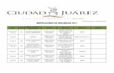 INSPECCIONES DE SEGURIDAD 2011 - juarez.gob.mx