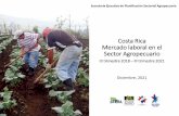 Costa Rica Mercado laboral en el Sector Agropecuario