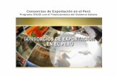 AA Programa ONUDI Consorcios de ... - Gobierno del Perú