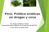 Perú: Política erráticas en drogas y coca