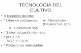TECNOLOGIA DEL CULTIVO - Facultad de Ciencias Agropecuarias