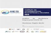 Análisis de Resiliencia Empresarial COVID-19 Honduras ...