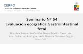 Seminario Nº 54 Evaluación ecográfica Gastrointestinal fetal