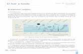 El mar a fondo Guía de actividad El plancton