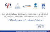 PXS Performance Excellence Solutions