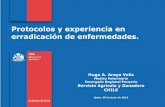 Protocolos y experiencia en erradicación de enfermedades.