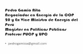 Pedro Gamio Aita Negociador en Energía de la COP 20 y Ex ...