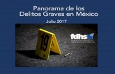 Panorama de los Delitos Graves en México
