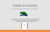 Estado de Guerrero - UNAM