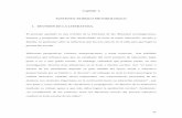 Capítulo 3 SUSTENTO TEÓRICO METODOLÓGICO 1. REVISIÓN DE LA ...