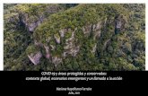 COVID-19 y áreas protegidas y conservadas: contexto global ...
