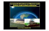 La economía del carbono en el Mercosur rural: Certeza ...