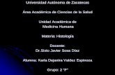 Universidad Autónoma de Zacatecas Área Académica de ...
